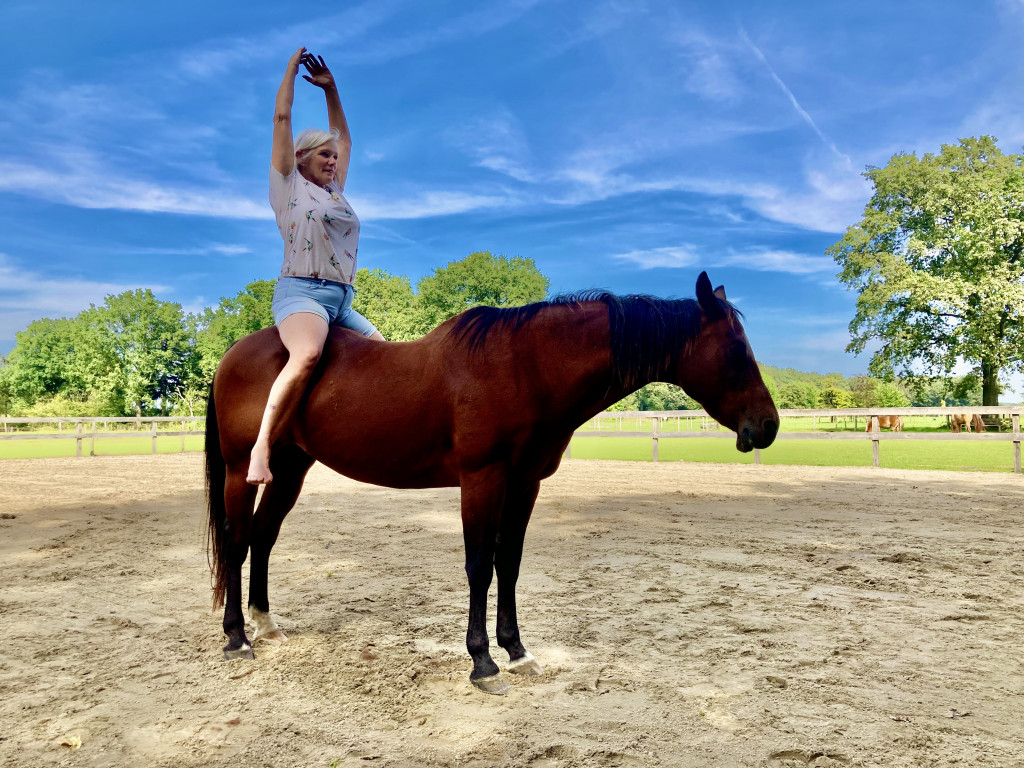 Yoga à cheval
