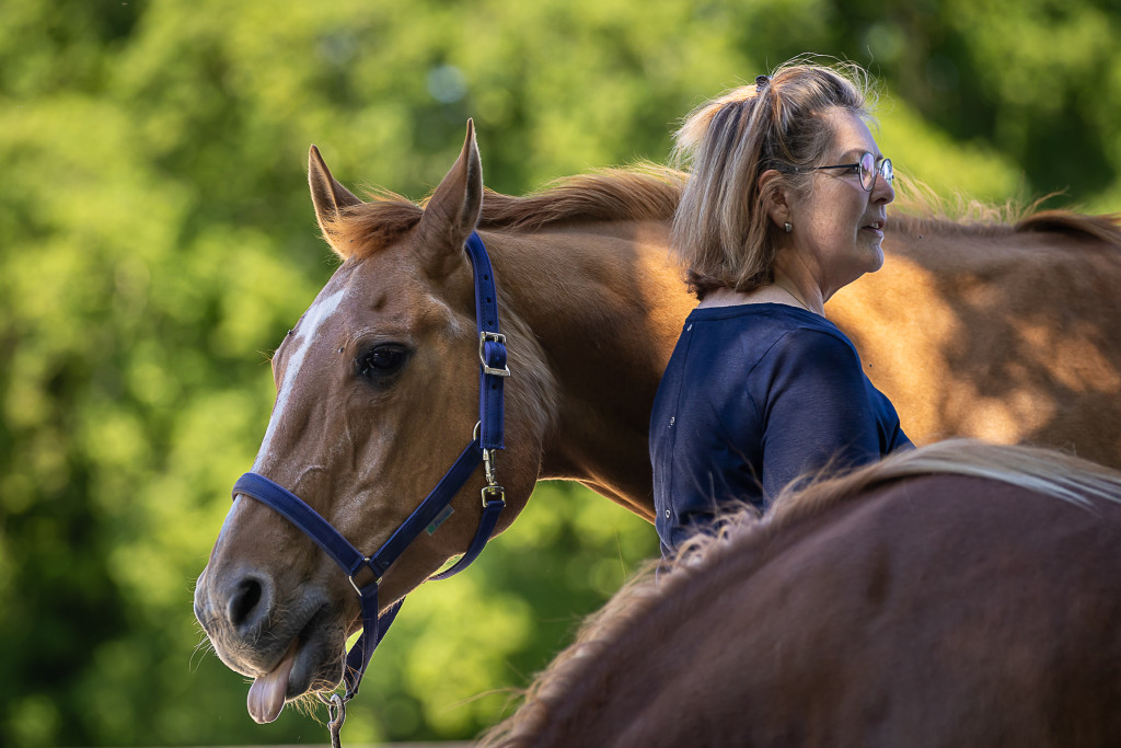 Entraîneur de chevaux