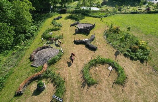 paddock-paradise-eersel-noord-brabant